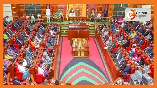 MPs strike out maize subsidy allocation from supplementary budget