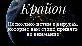 Крайон. Несколько истин о вирусах, которые стоит принять во внимание