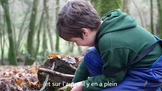 Les pieds sur Terre - Episode 2/6 | Forest School