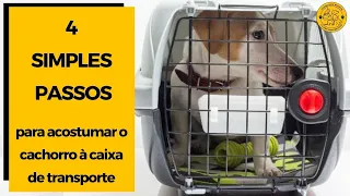 CAIXA DE TRANSPORTE PARA CACHORRO: Como acostumar seu cão [ 4 SIMPLES PASSOS ]