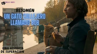 UN GATO CALLEJERO LLAMADO BOB (A STREET CAT NAMED BOB) | En casi 9 minutos