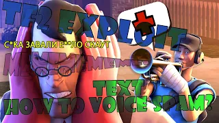 [TF2 Exploit] How to Voice and Chat Spam in Team Fortress 2