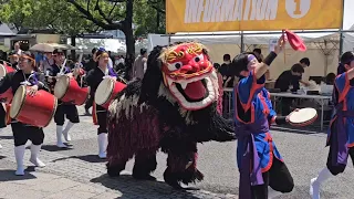 2024.05.18 OKINAWAまつり  オープニングアクト(ちょっぴり) 琉球國祭り太鼓 東京支部