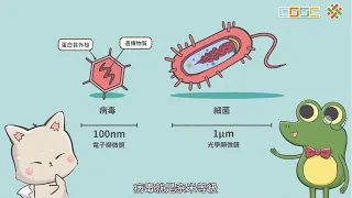108新課綱｜七下生物｜【觀念】病毒