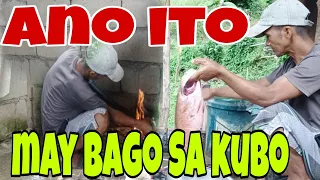Walang Mawawala Kung GAWIN Natin To/DIY/Buhay Probinsya