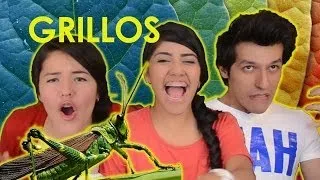 EATING CRICKETS / CHAPULINES | POLINESIO CHALLENGE