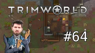 (T)RimWorld #64 mit Matteo