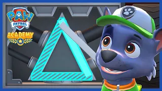 Learn Shapes with Rocky! - PAW Patrol Academy - App for Kids