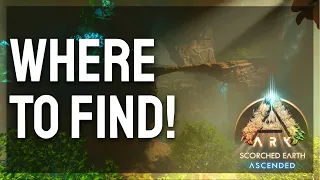 Where To Find The New Oasis Cave on Scorched Earth - ARK: Survival Ascended