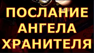 ПОСЛАНИЕ ОТ АНГЕЛА ХРАНИТЕЛЯ КАК ОН ВАС ВИДИТ СЕГОДНЯ И ЧТО ХОЧЕТ ВАМ СКАЗАТЬ гадание карты таро люб