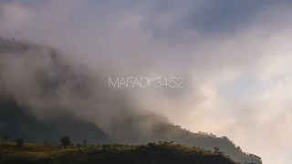 Mafadi 3452