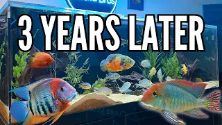 The Growth & Evolution of the 180 Gallon South American Cichlid Tank