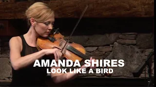 Amanda Shires – Look Like a Bird (Live Performance)