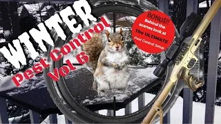 Winter Pest Volume 6 -Shooting Squirrels with EDgun Leshiy and ATN X Sight 4K Pro