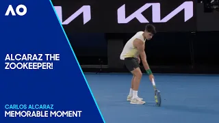 Carlos Alcaraz Gets Into Sticky Situation With On-Court Animal | Australian Open 2024