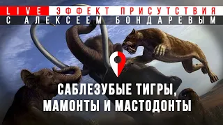 Саблезубые тигры, мамонты и мастодонты. #Эффект_присутствия: Древние млекопитающие