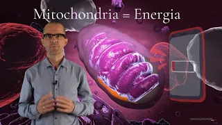 #101 Jak pobudzić swoje elektrownie - czyli co działa na mitochondria...