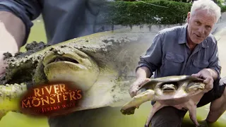 Jeremy Gets To Grips With a Bone Crushing Softshell Turtle | TURTLE | River Monsters