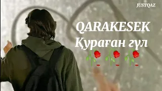 QARAKESEK Қураған гүл🥀🥀🥀