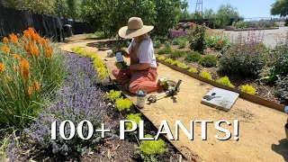 Marathon Planting Day! :: Planting Over 100 Proven Winners Plants in the Garden