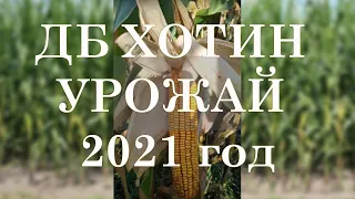 ДБ Хотин 🌽 кукуруза (урожай 2021 года) - 115 центнер с гектара. Днепропетровская область