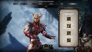 Divinity Original Sin 2 Character Creation Includes Origin Story