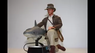 1/6 R C Shark!