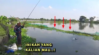 LUDES! Pembatas kolam bolong, mancing pesta ikan mas dan nila besar di sungai