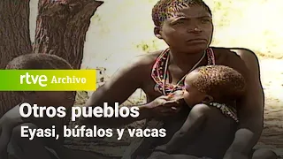 Otros pueblos: Eyasi, búfalos y vacas | RTVE Archivo