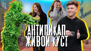 АНТИПИКАП | Живой куст ПРАНК | Bushman Prank