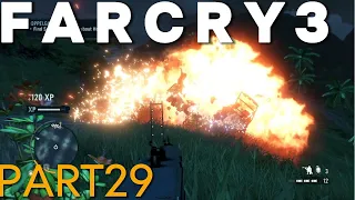 FARCRY29