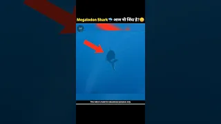 किया Megalodon Shark अभी भी जिंदा है?😳 P-2|Proof That Megalodon Still Exist| #shorts #viral
