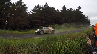 WRC RALLY NEW ZEALAND 2022 - SS9 PUHOI 1