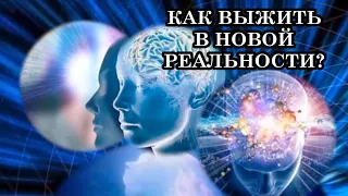 Как выжить в условиях роста частоты вибраций Земли?