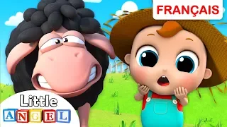 Baa Baa Mouton Noir en Français | Comptines pour Bébés et | Little Angel Français