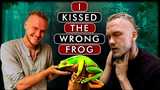 KAMBO Frog Poison - Traditional medicine of amazon Rainforest