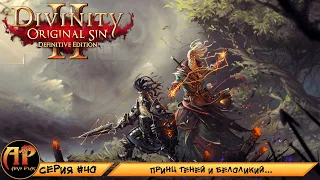 Прохождение Divinity Original Sin 2 Definitive Edition - Серия 40 | Принц Теней и Белоликий