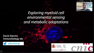 "Exploring Myeloid Cell Environmental Sensing and Metabolic Adaptations" by Dr. David Sancho