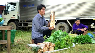 Harvest Jungle Vegetable - Wild Tree Cores Goes to the market sell - Solo Survival