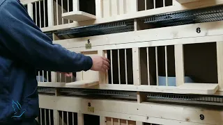 Гнезда для голубей своими руками. Handmade pigeon breeding boxes/cages