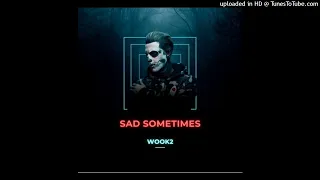 Alan Walker - Sad Sometimes [WOOK2 2023 Remix]