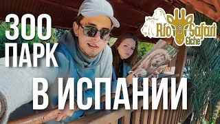 Зоопарк в Эльче Испания. Rio Safari Elche. Куда сходить с семьей на Коста Бланка?