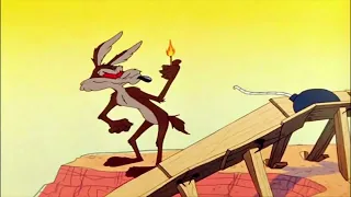 Wile E. Coyote - Coyote Vs. Acme (Screw Warner Bros.) | Desert Clown