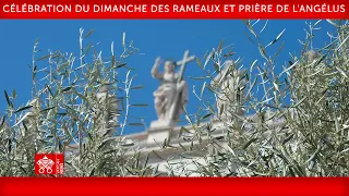 24 mars 2024, Célébration du Dimanche des Rameaux, Prière de l'Angélus |  Pape François