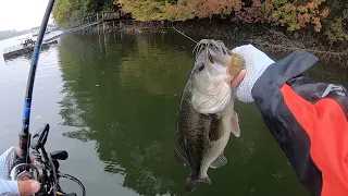 Find BASS Quick During The WINTER DRAWDOWN. Catching BIG Bass On A JIG!