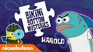 Bikini Bottom Mysteries | Ep. 3 | Ist Harold eine tickende Zeitbombe? 💣 | Nickelodeon Deutschland