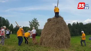 Лучших деревенских тружеников определили на «лимпиаде» в Верховажском районе