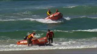 Authorities grapple with Ballina shark problem