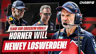 "ams"-Bericht: Umstrittener RB-Teamchef Horner will Star-Designer Adrian Newey loswerden!