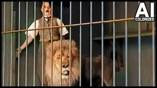 Charlie Chaplin 4K COLORIZED using AI - The Lion Cage Full Scene (The Circus, 1928)